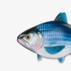 Fish bag